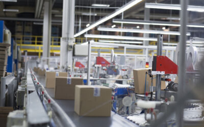 Automatyzacja w przemyśle opakowaniowym – jak linie produkcyjne zmieniają rynek?